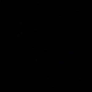 Meet your Posher, Leo